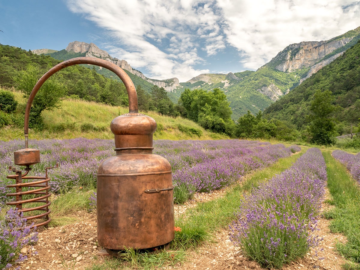 5 sorties gourmandes à découvrir autour de Die