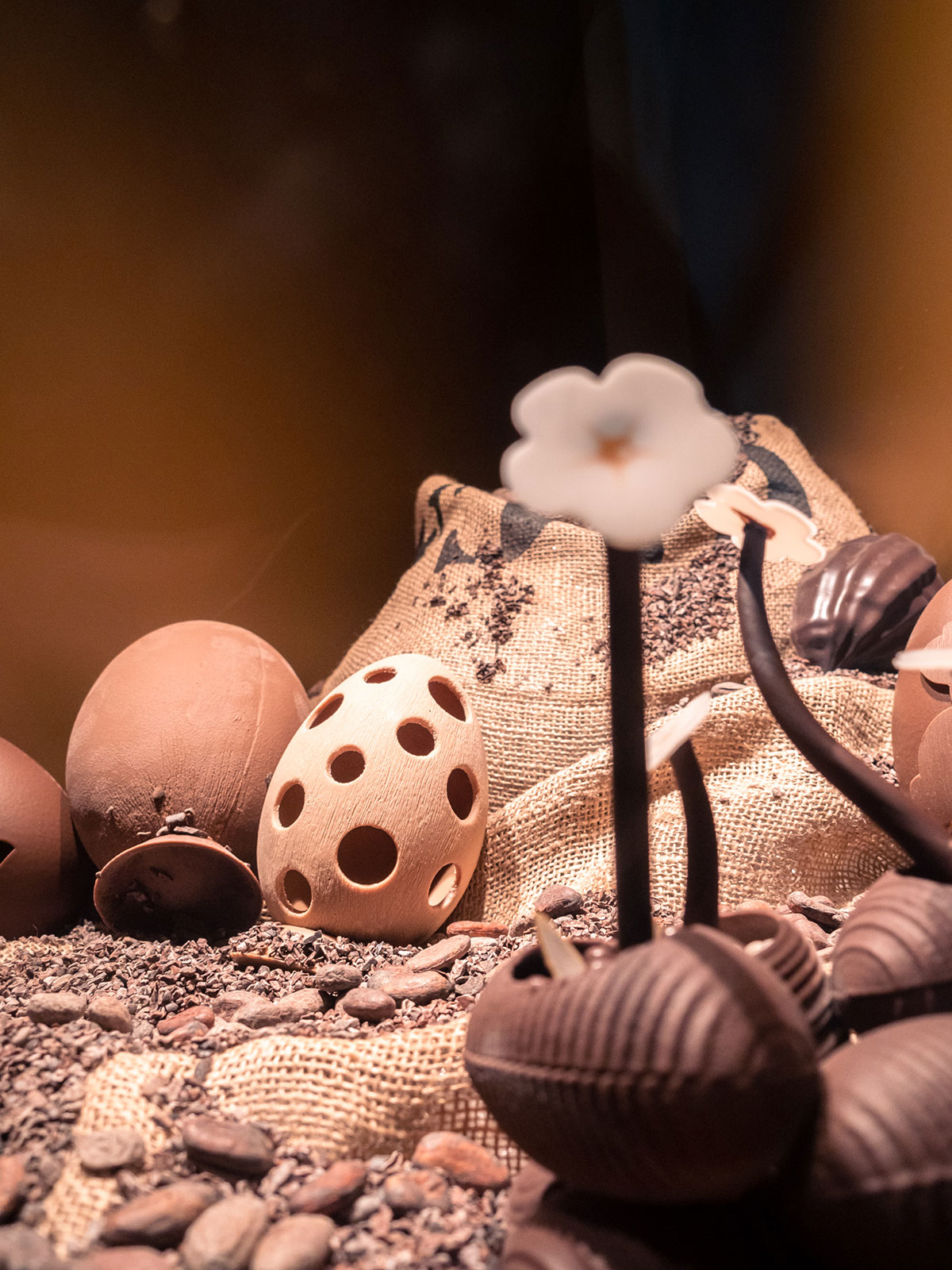 Cité du chocolat Valrhona