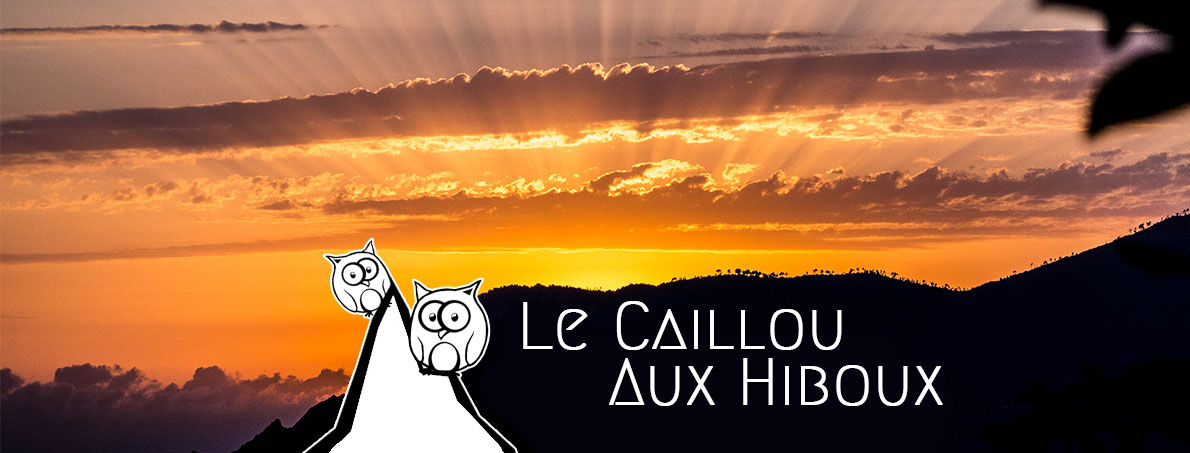 entete logo le caillou aux hiboux