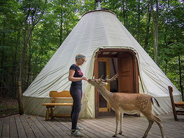 Parc Oméga : à la rencontre de la faune canadienne