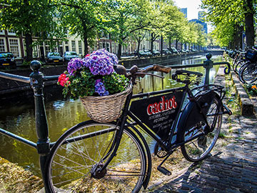 Entre amour des Pays-Bas et désillusions sur Amsterdam