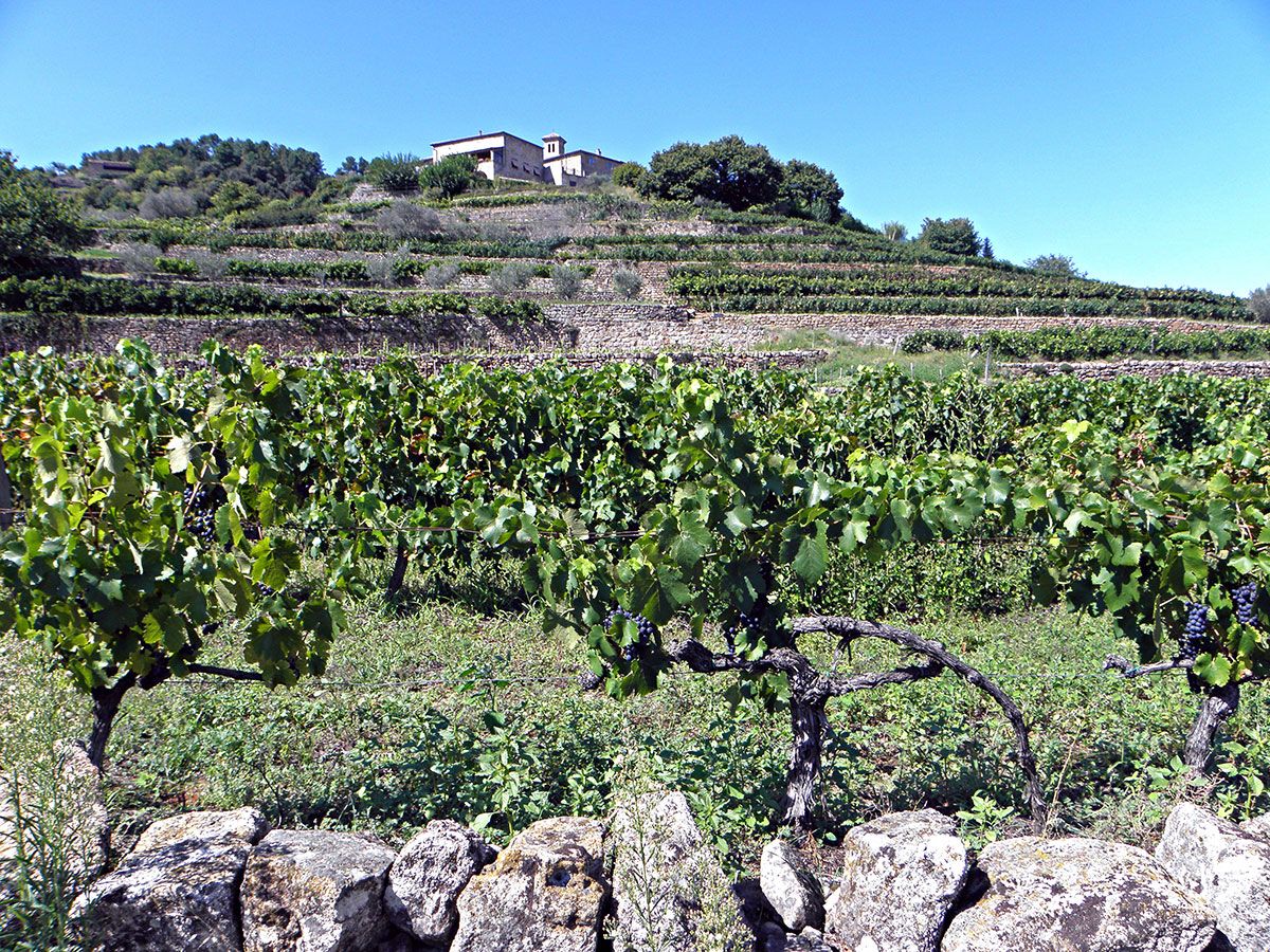 Ribes Ardèche