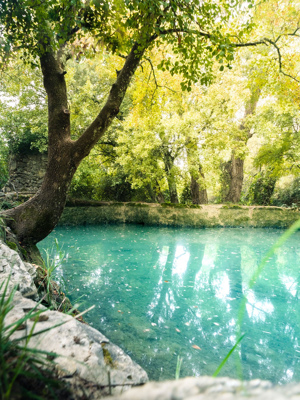 Ruisseau de la Tiourrz et cascade de Pissevieille en Ardèche