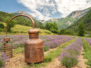 5 sorties gourmandes à découvrir autour de Die