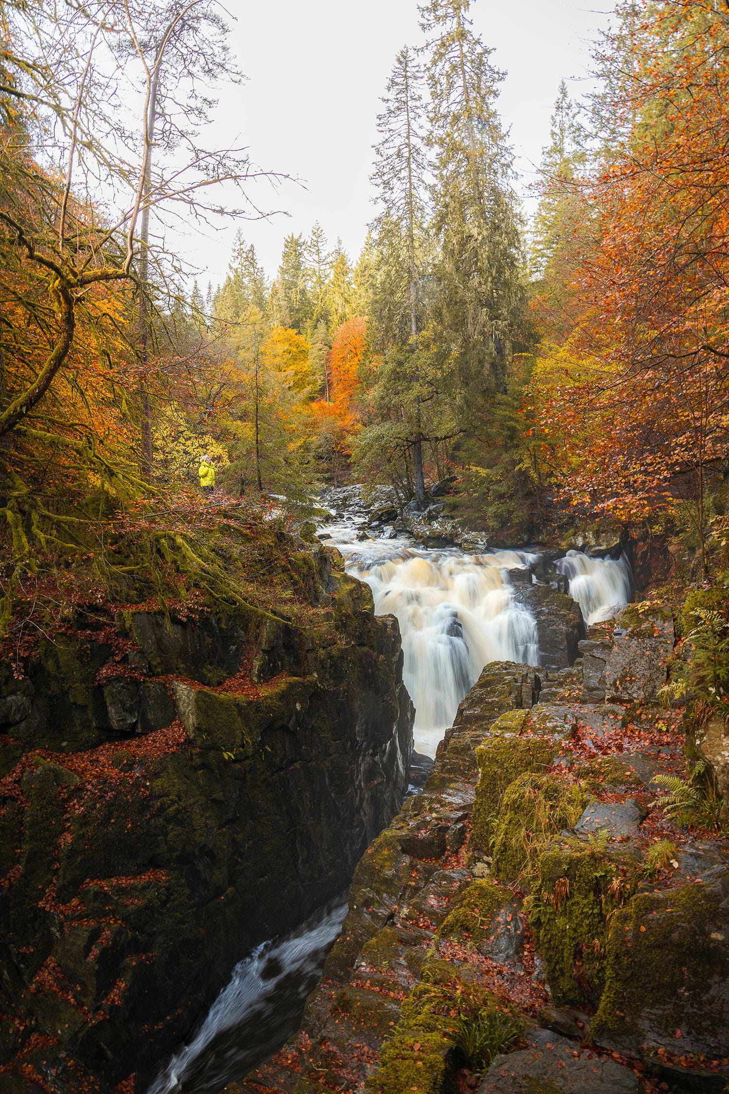 The Hermitage chutes black linn