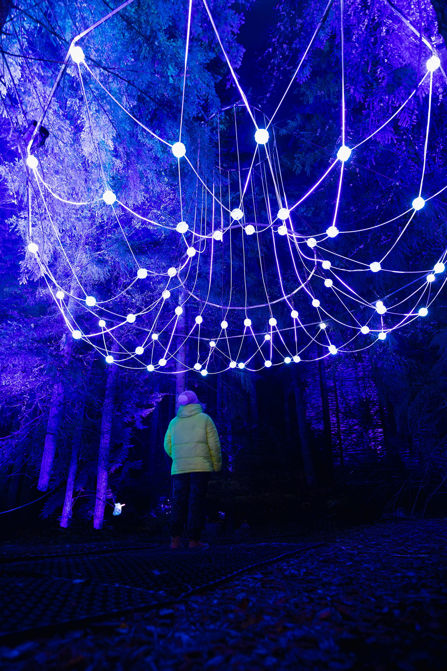 Pitlochry the enchanted forest