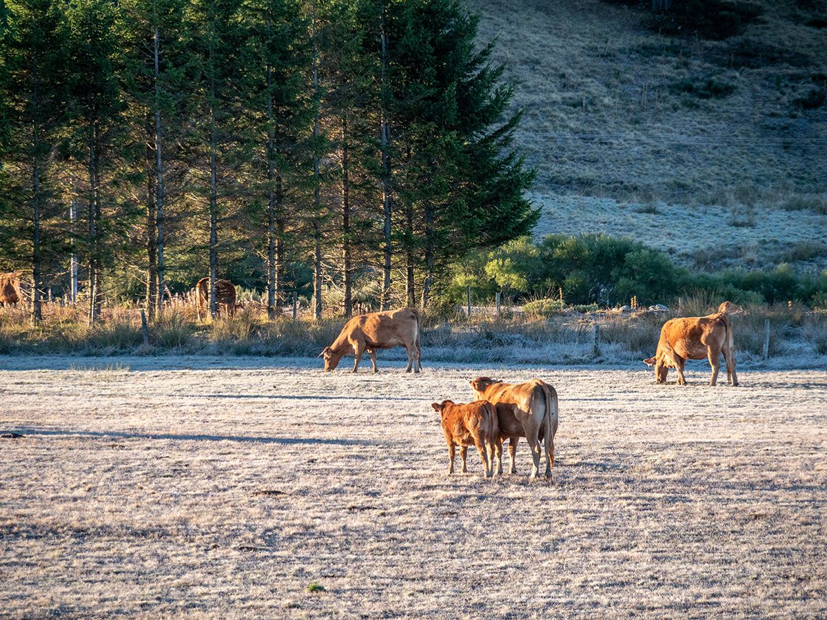 Ferme de suchasson Ardèche