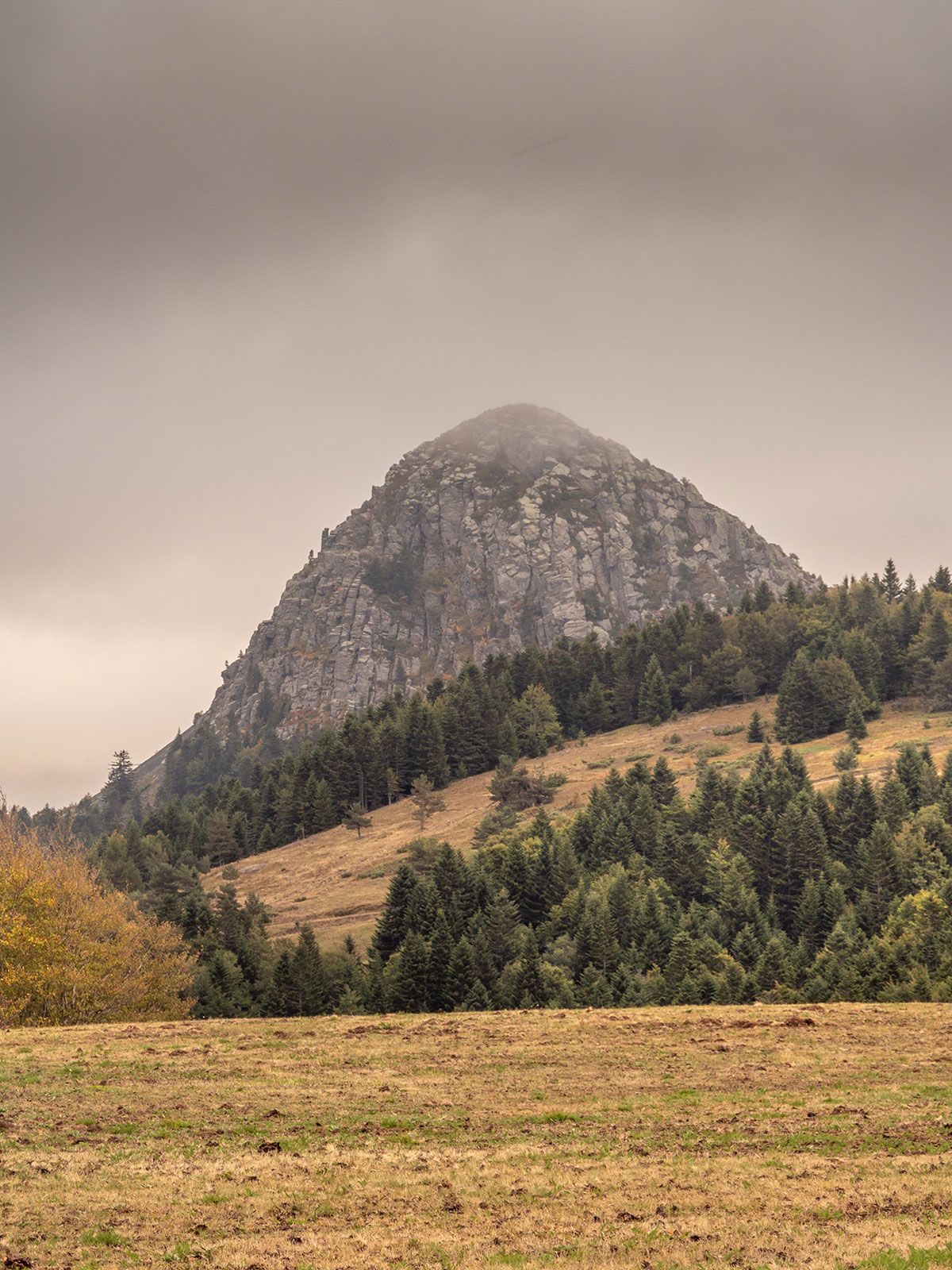 Mont Gerbier de Jonc