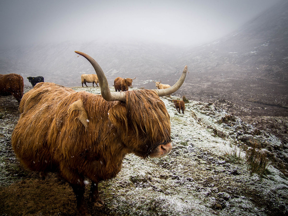 séjour ile de skye