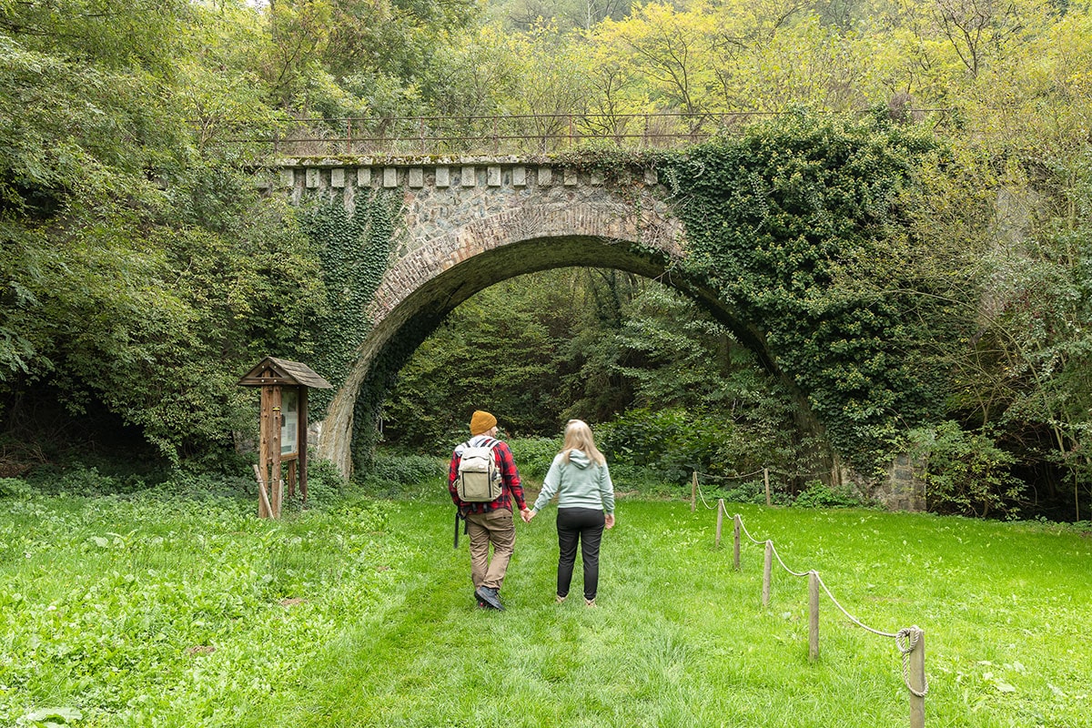 Que faire à Saint-Etienne et alentours ?