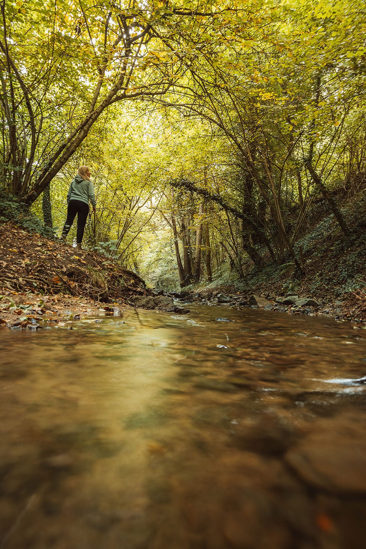 Randonnée Loire Bellegarde-en-Forez