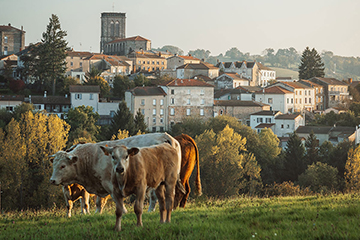 Que faire dans la Loire (42) ? Idée week-end à la découverte de ses savoir-faire