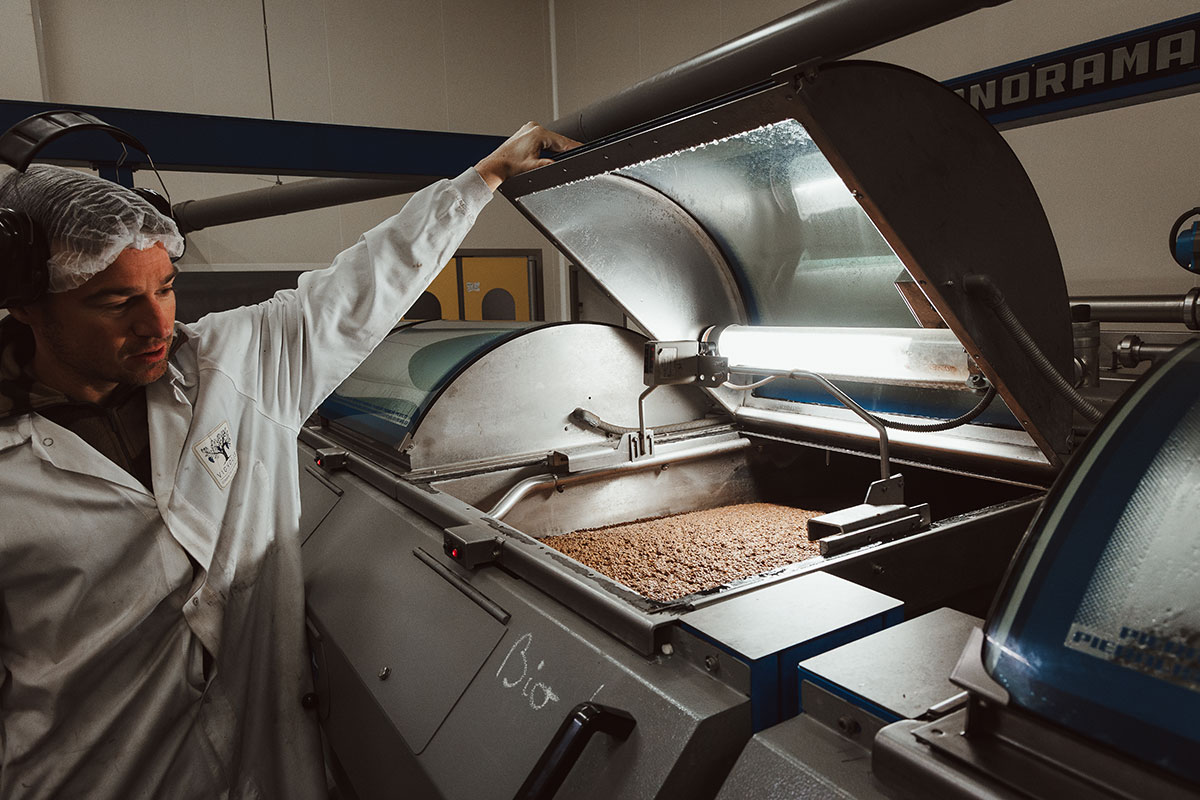 différentes étapes de production de l’huile d’olive