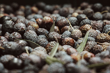Séjour en Provence à la découverte de l’olive de Nyons AOP