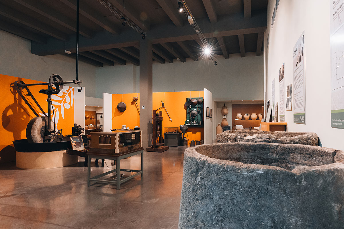 Vignolis musée de l'olivier à Nyons