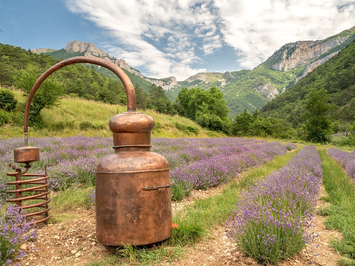 Drôme - Distillerie des 4 vallées