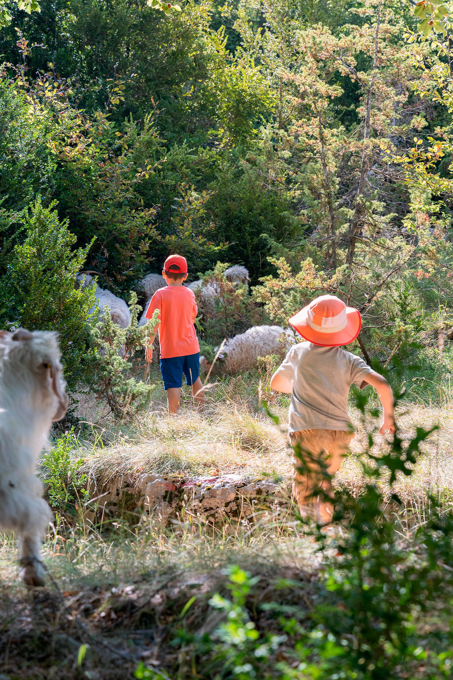 Club enfant le Piroulet - visite ferme pédagogique