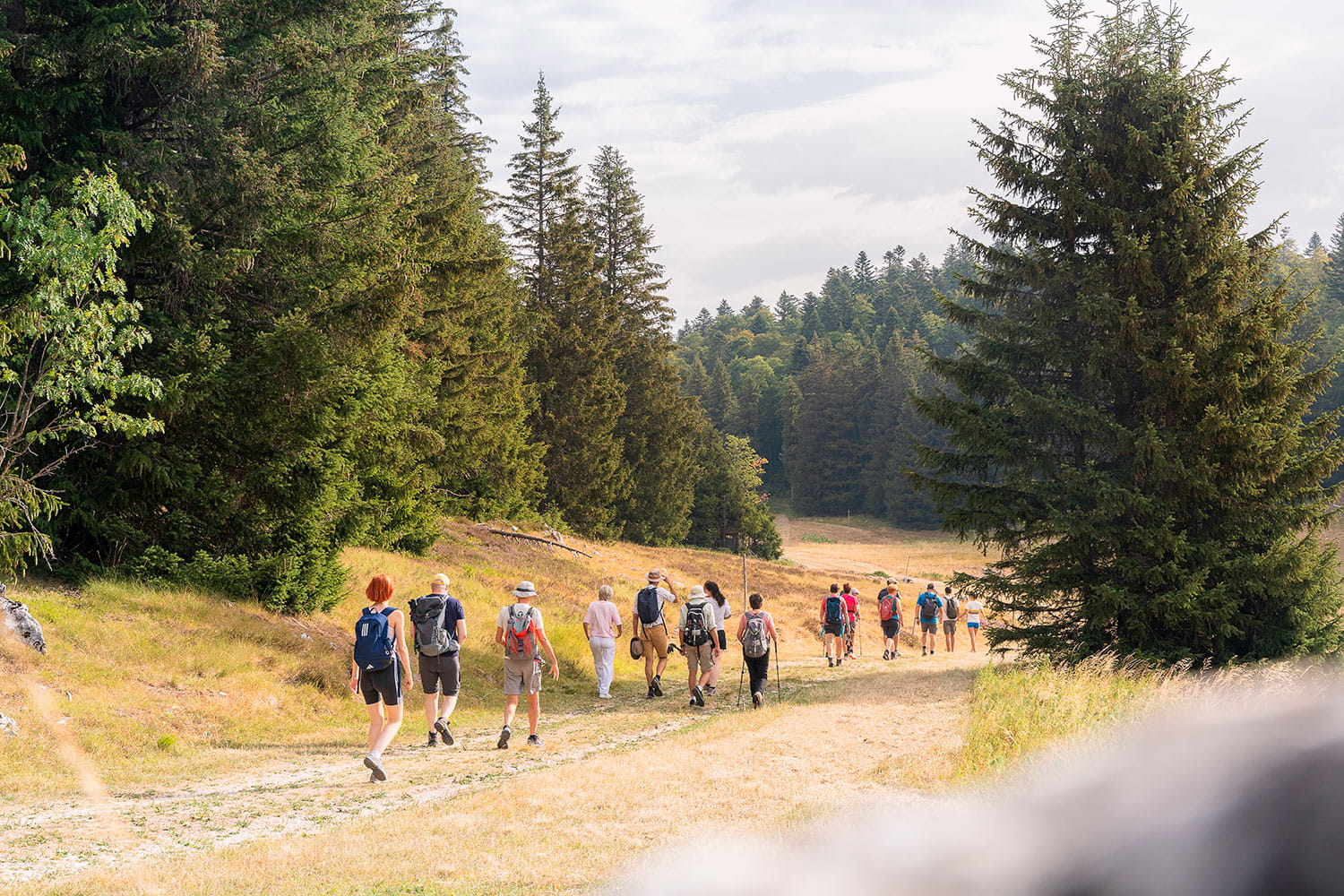 Activité randonnée en groupe accompagné dans le Vercors