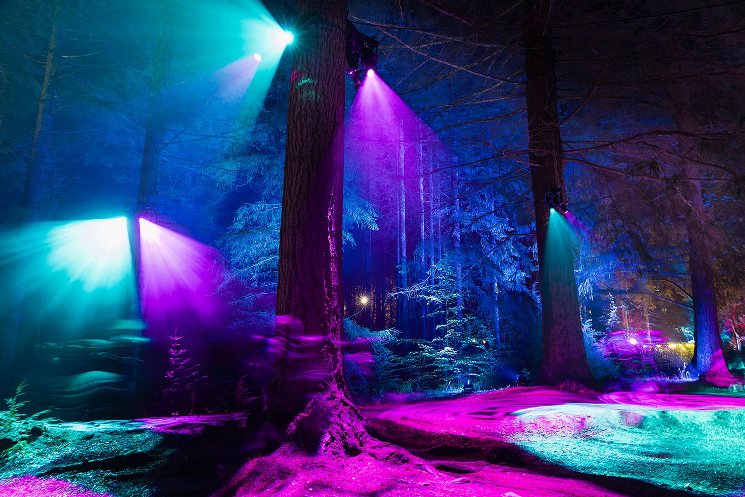 Pitlochry festival The enchantered forest automne