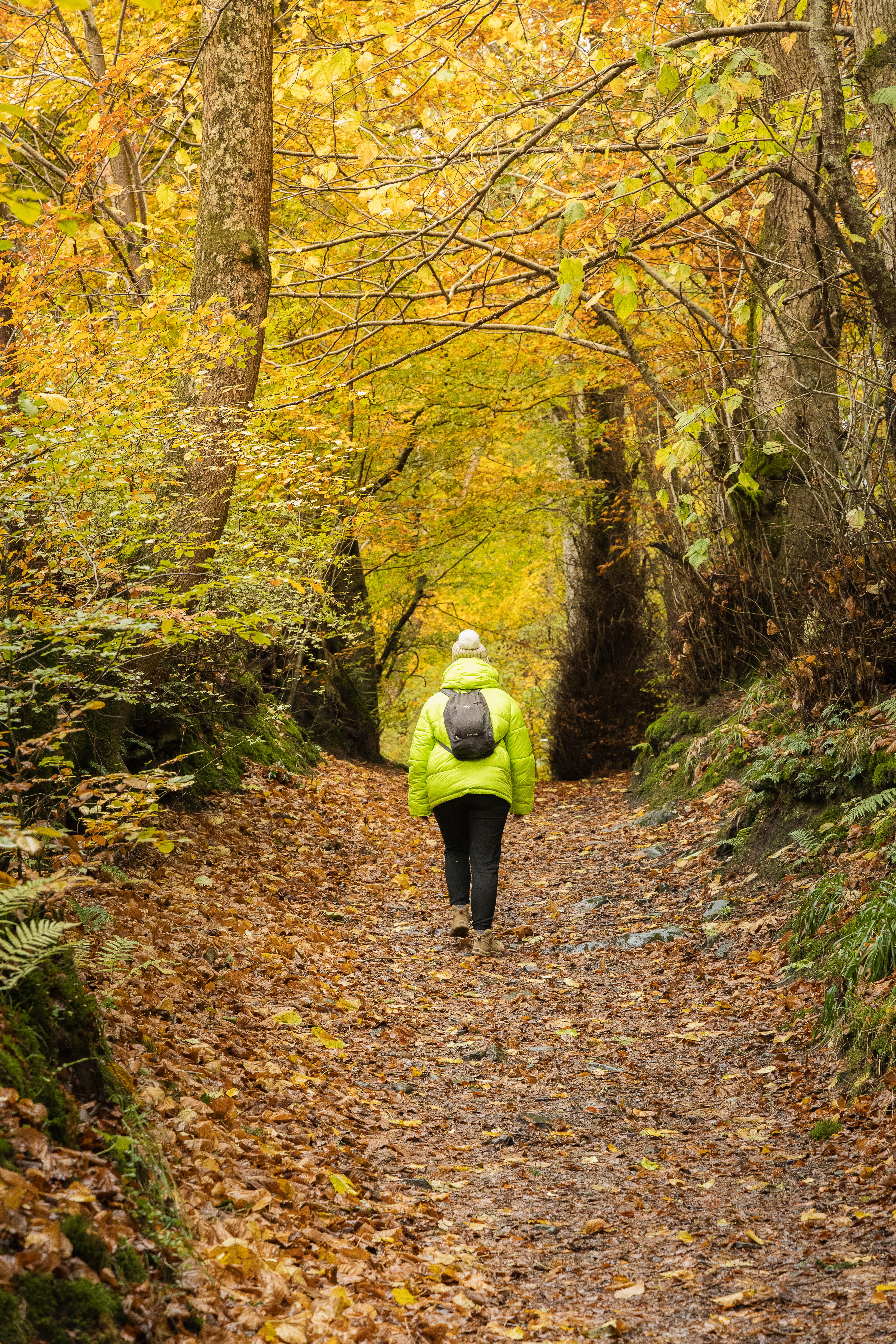 Pitlochry randonnée automne Ben Vrackie dans les highlands