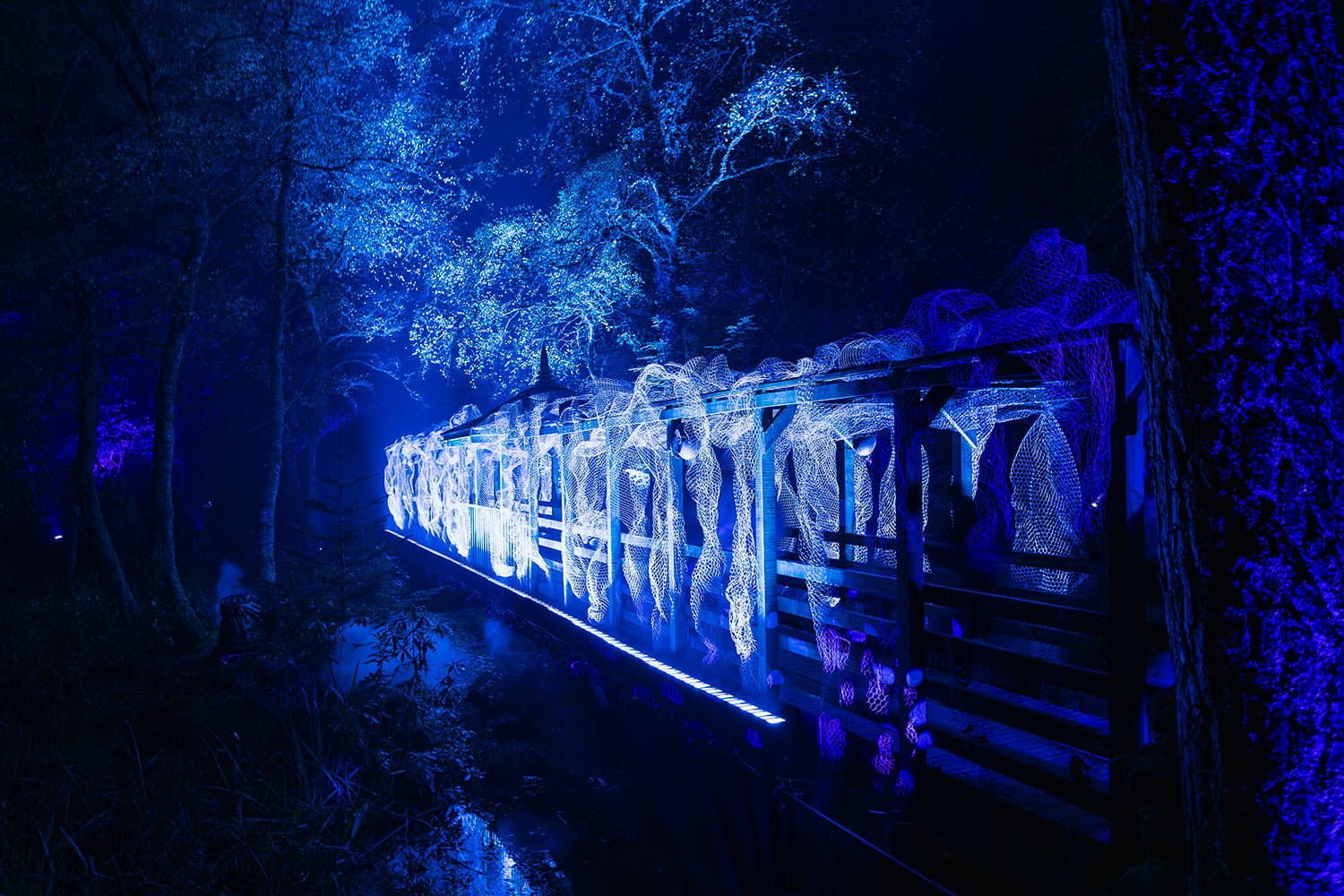 Pitlochry festival The enchantered forest automne