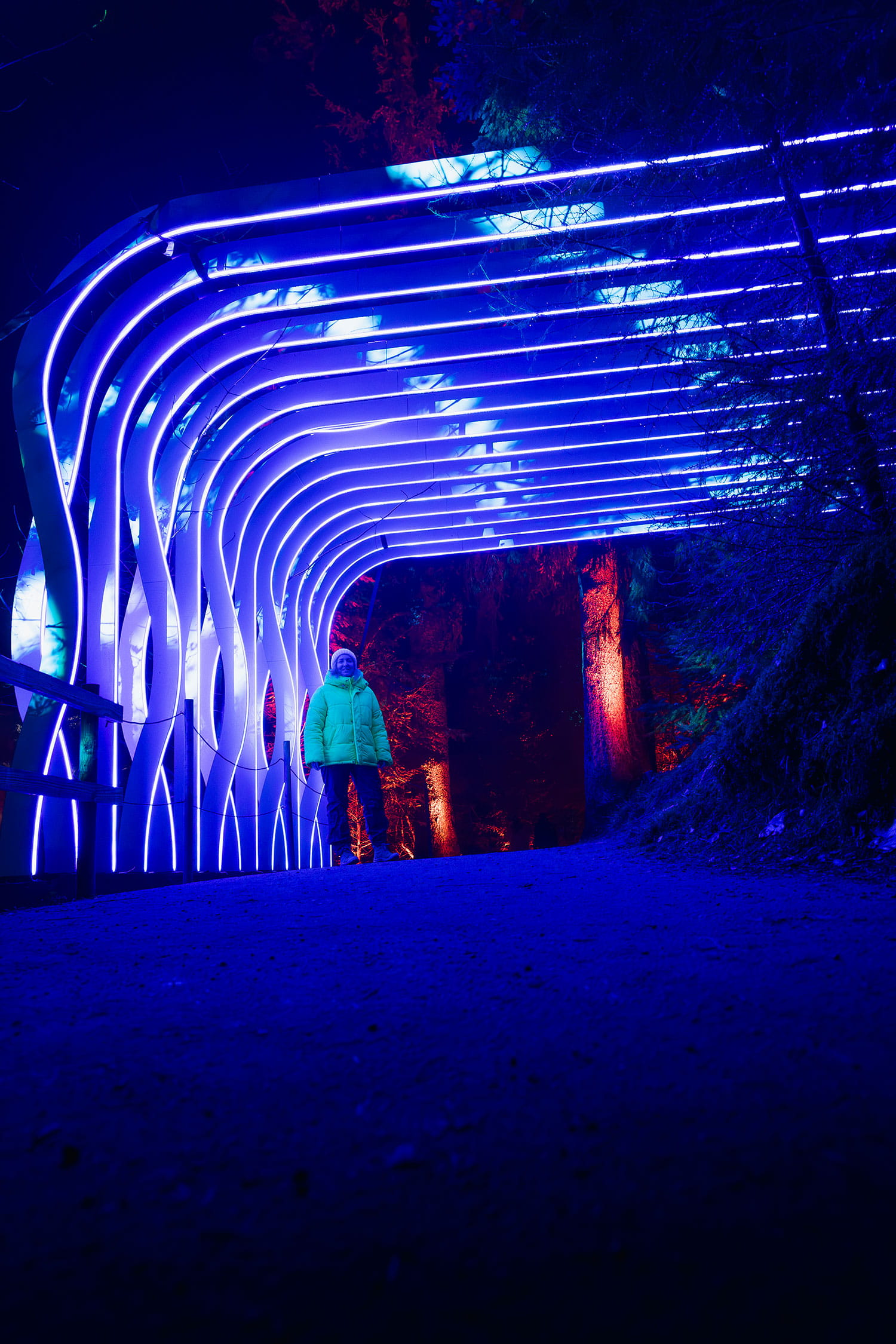 Pitlochry festival The enchantered forest automne