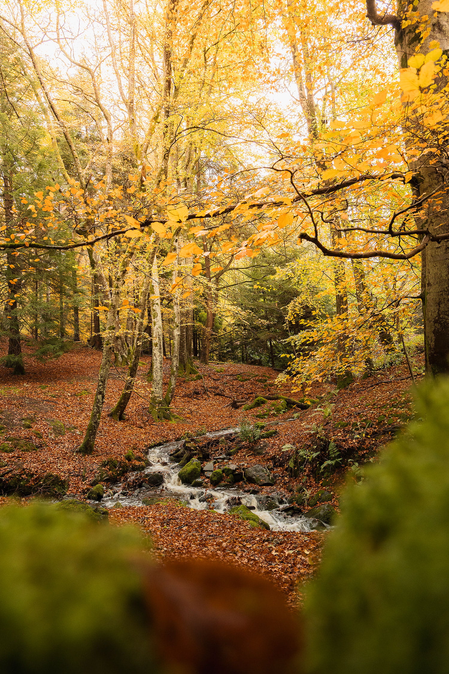 Pitlochry randonnée Ben Vrackie