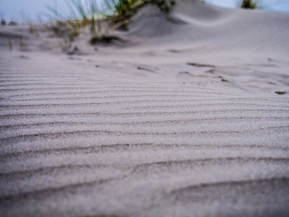 plages sable schiermonnikoog