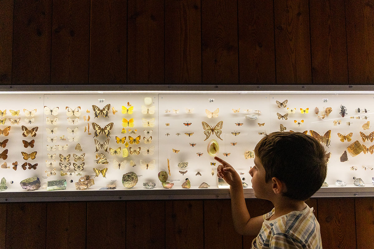 Apiland musée des abeilles et des insectes Serre-Poncon