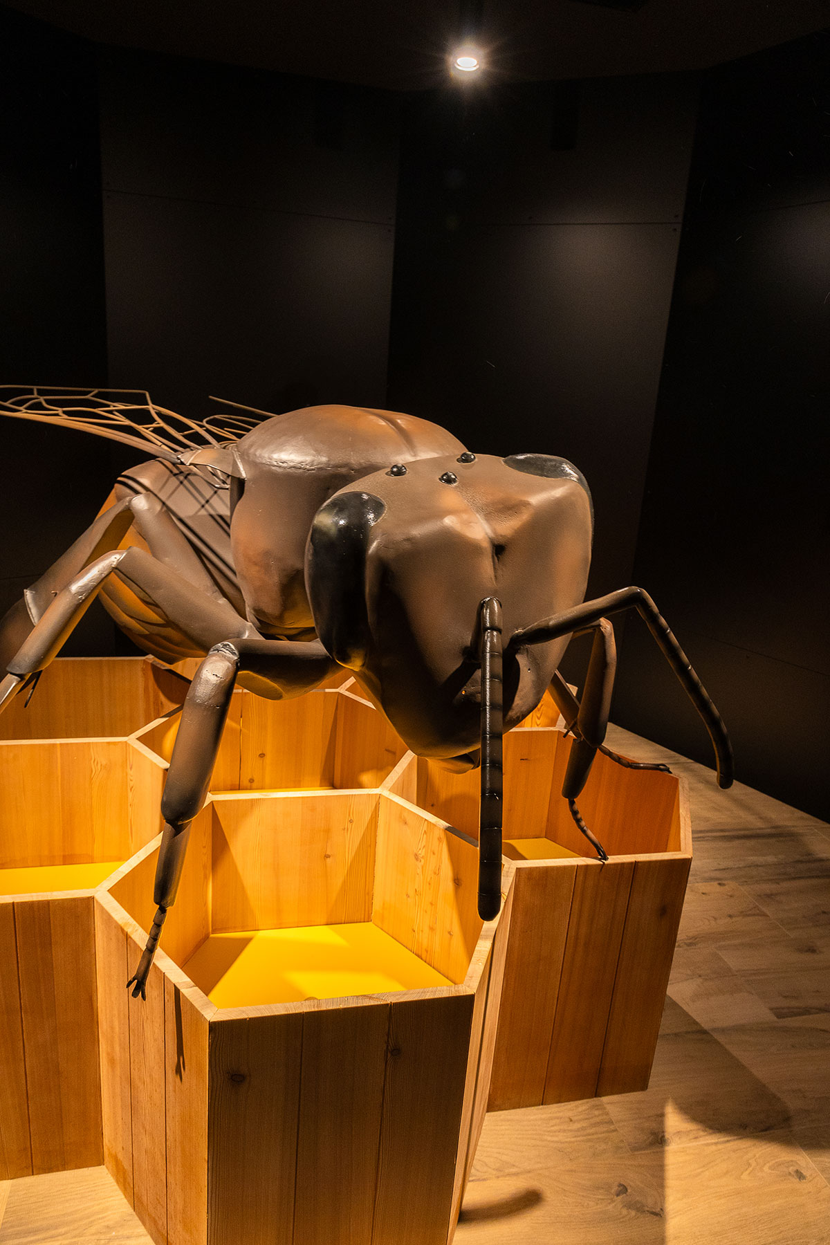 Apiland musée des abeilles