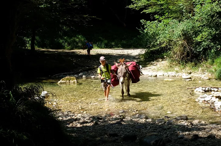 Randonnée avec un âne du royans au vercors