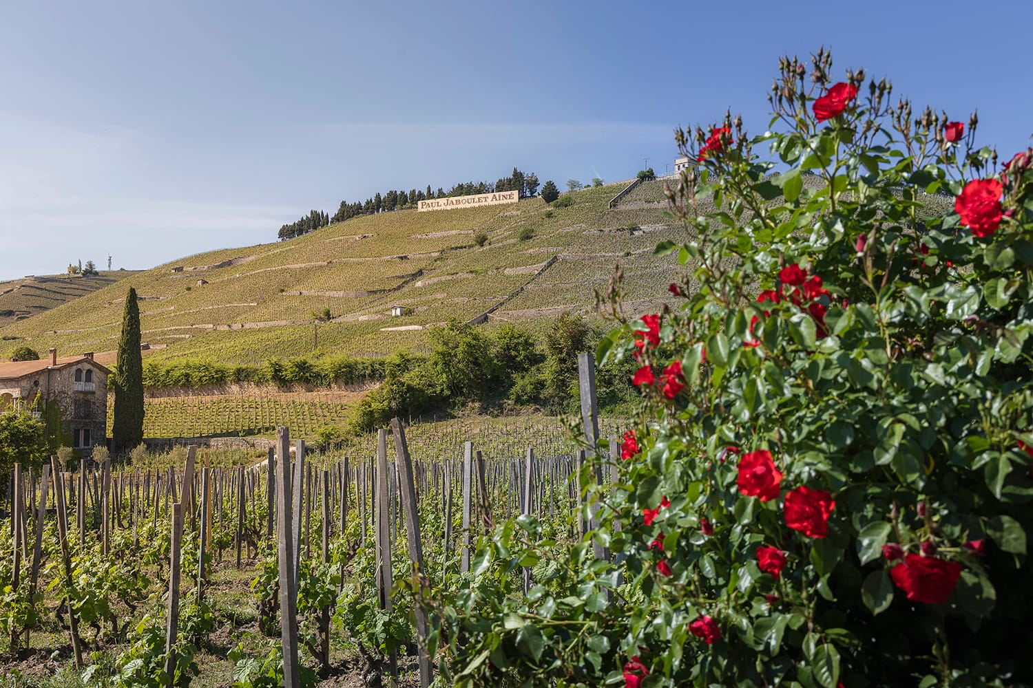 Tain-tournon entre velo et vignoble