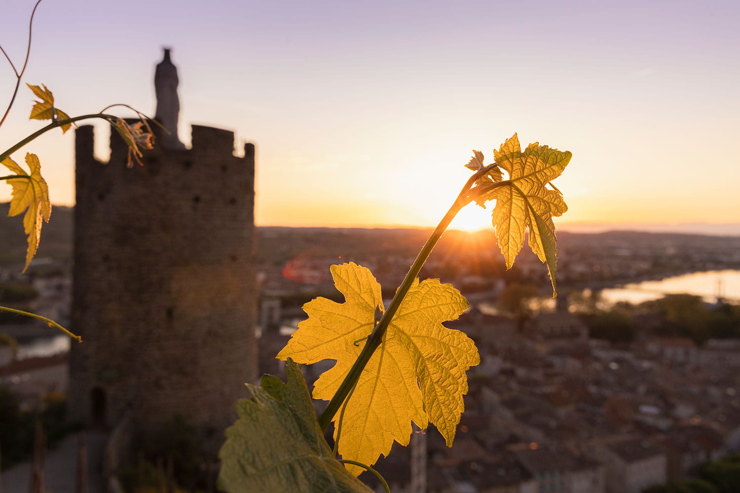Sentier des Tours Tournon-sur-Rhône en Ardèche