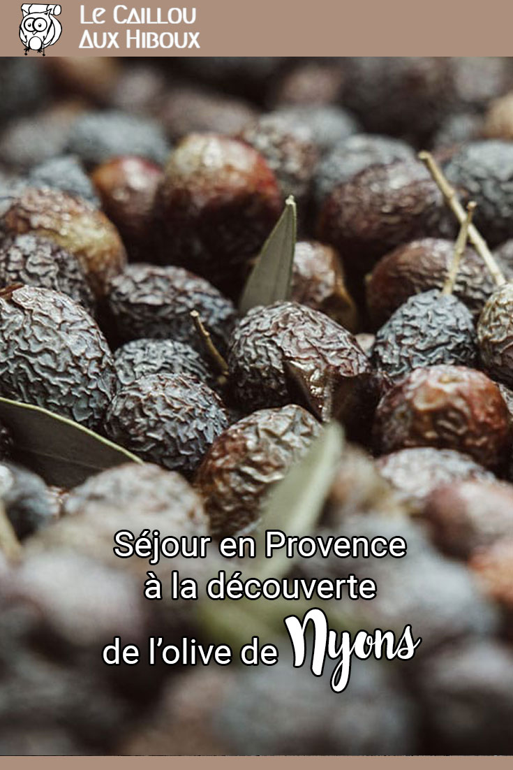 Séjour en Provence à la découverte de l’olive de Nyons AOP