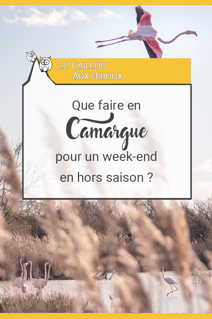 Que faire en Camargue pour un week-end en hors saison ?