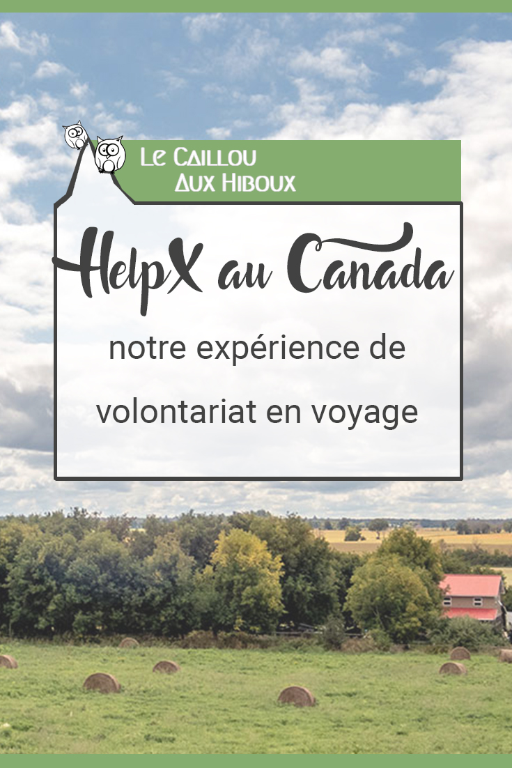 HelpX au Canada : notre expérience de volontariat en voyage